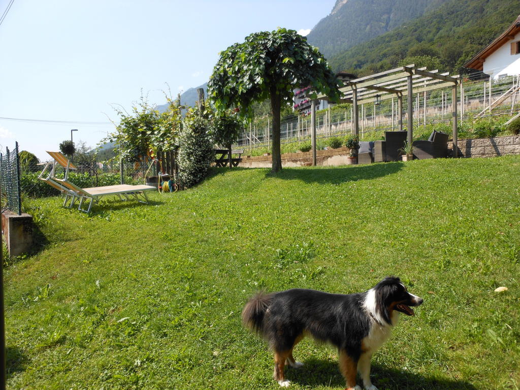 Haus Tirol * Caldaro
